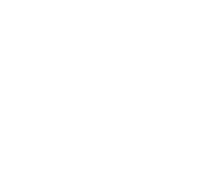 Apple Pay icon