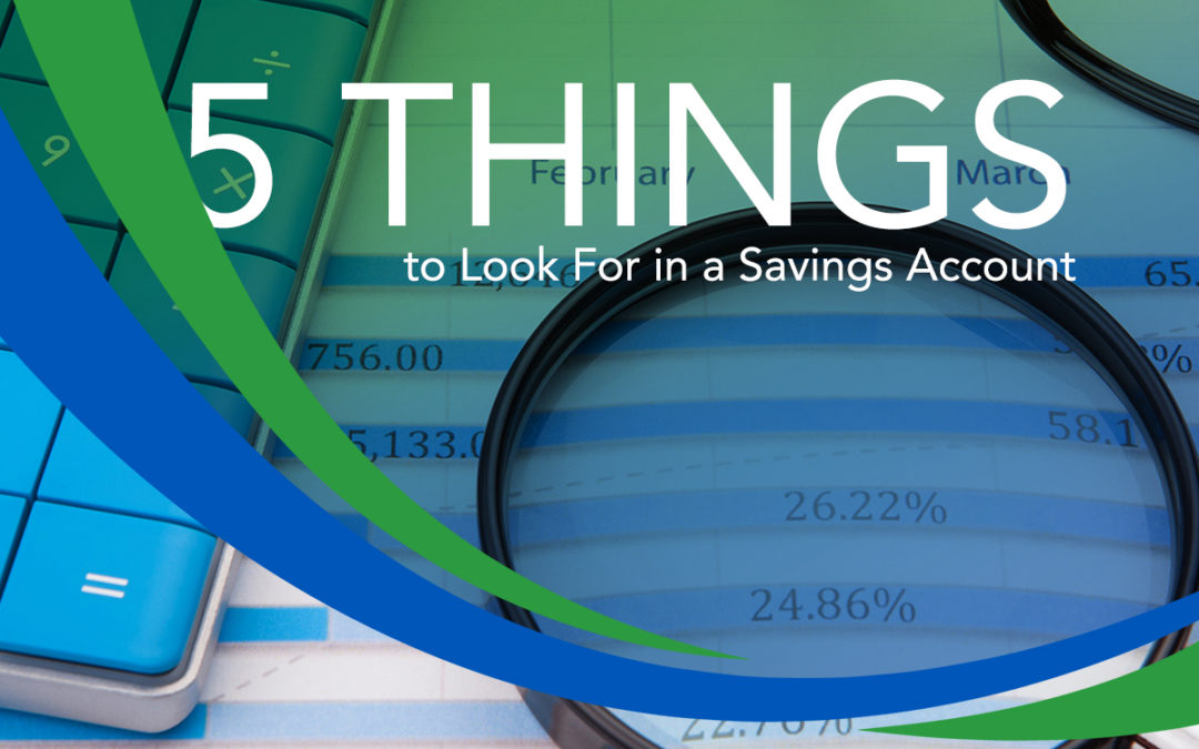 5 Things to Look for in a Savings Account in Georgia